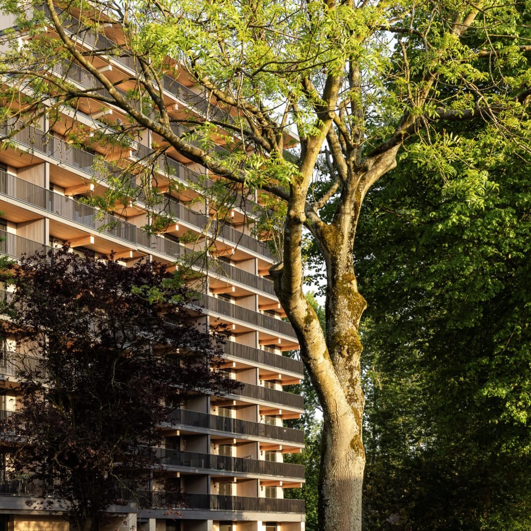 Images © Sebastian van Damme