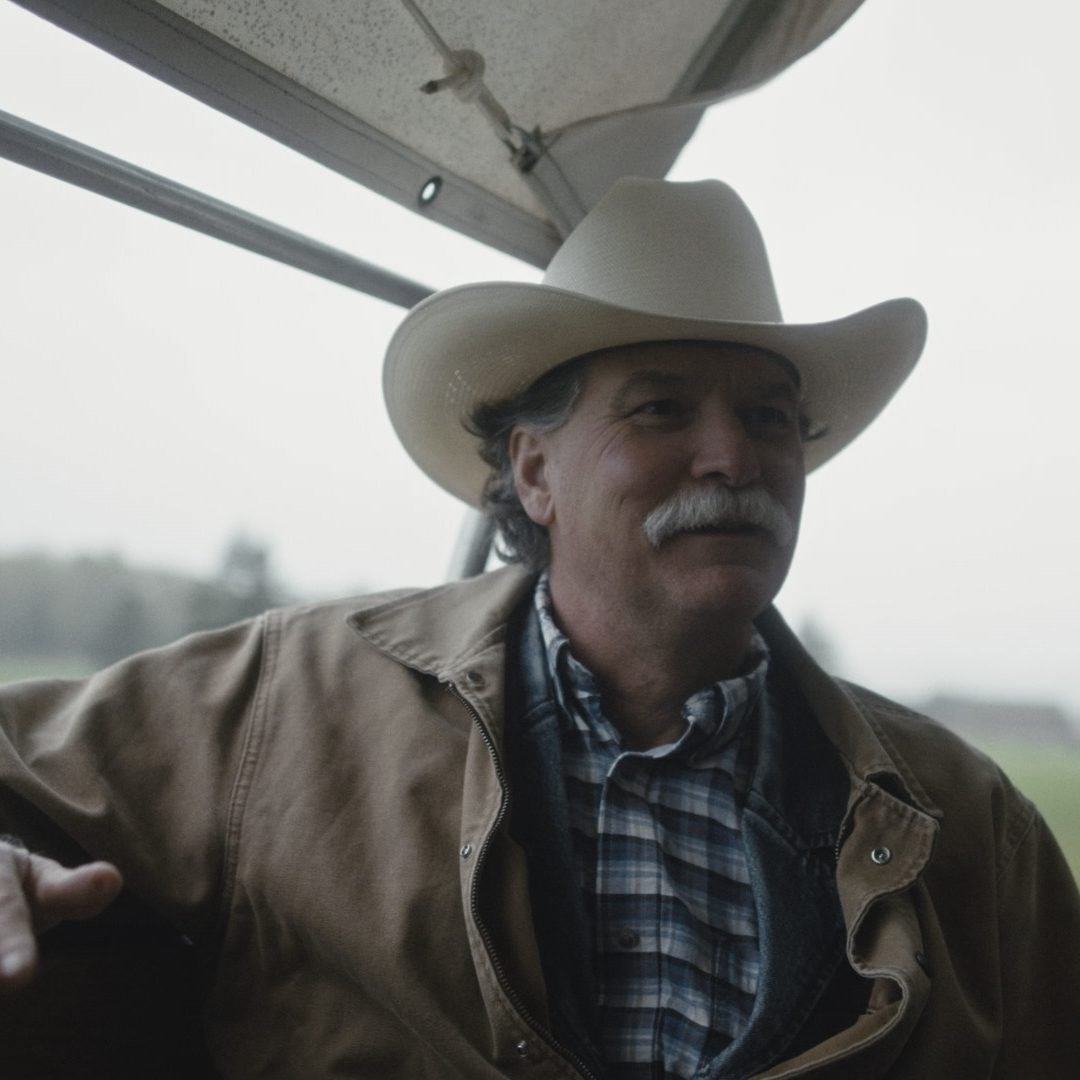 Image © Petr Krejčí