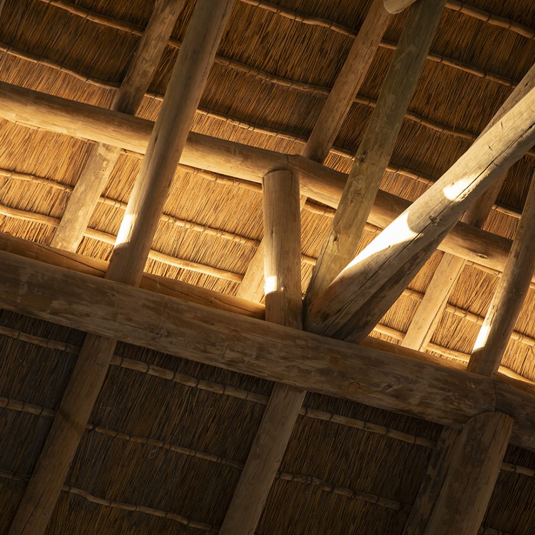 Images © Arch Exist