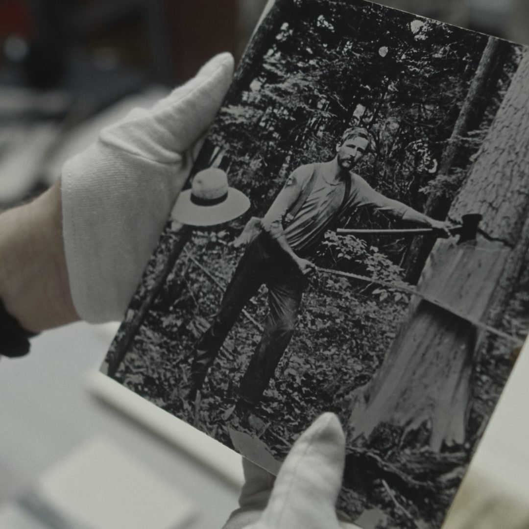 Image © Petr Krejčí