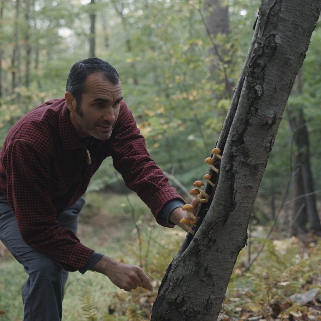 Image © Petr Krejčí