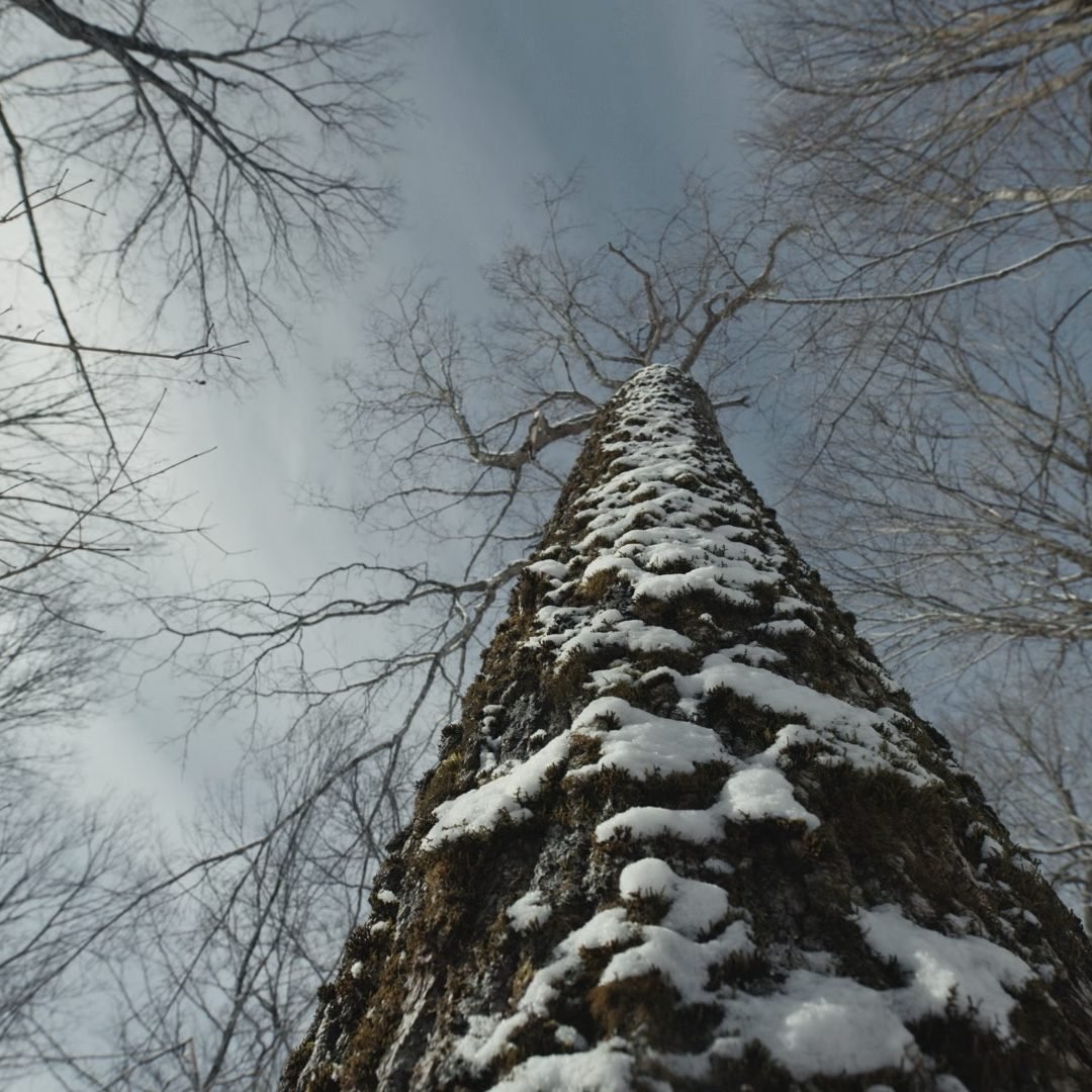 Image © Petr Krejčí