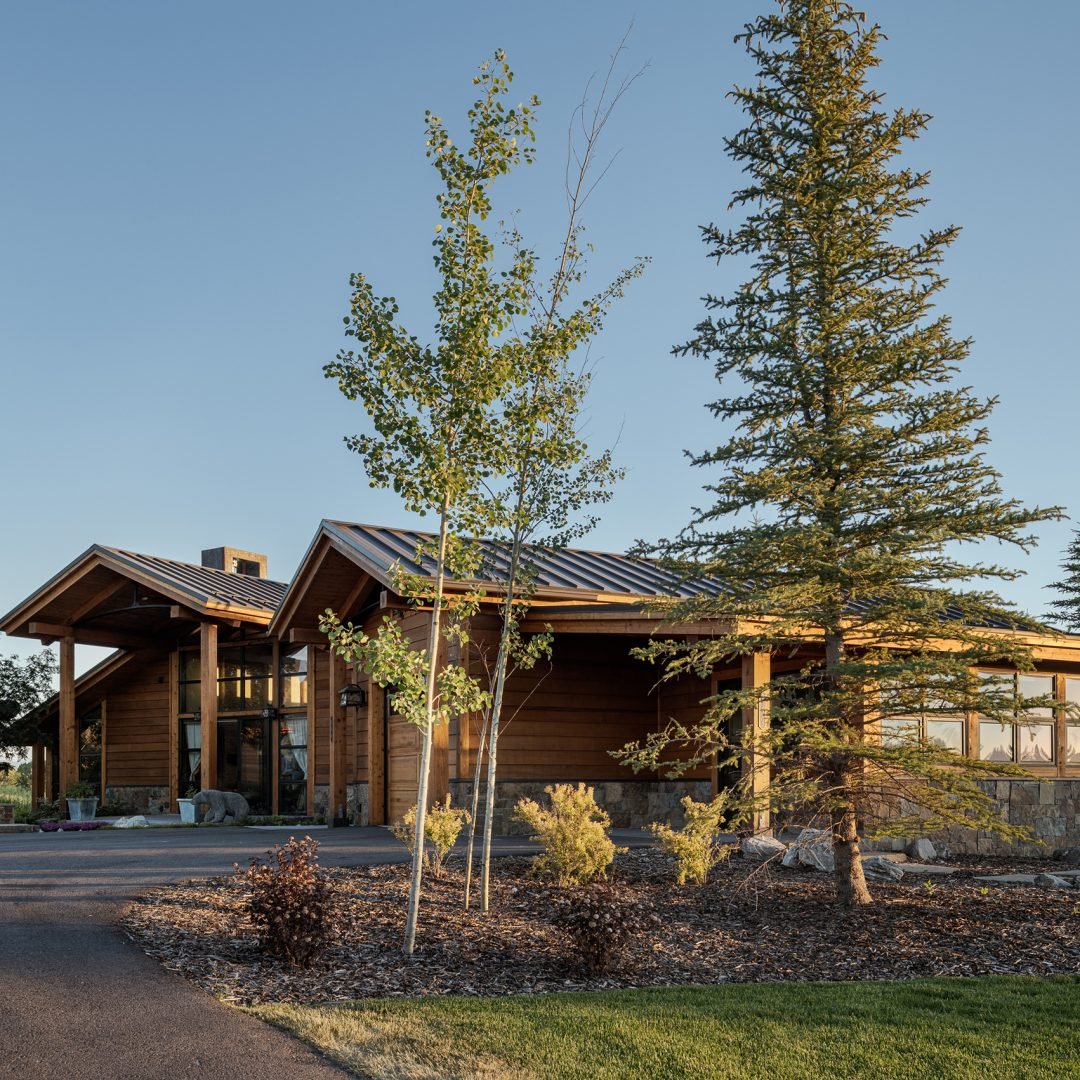 f0a0600f-66f9-496b-9456-c246fa1f04da-WardBlakeArchit