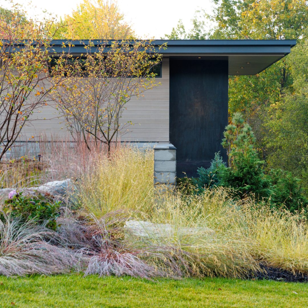 Images © Dustin Halleck and Eric De Witt