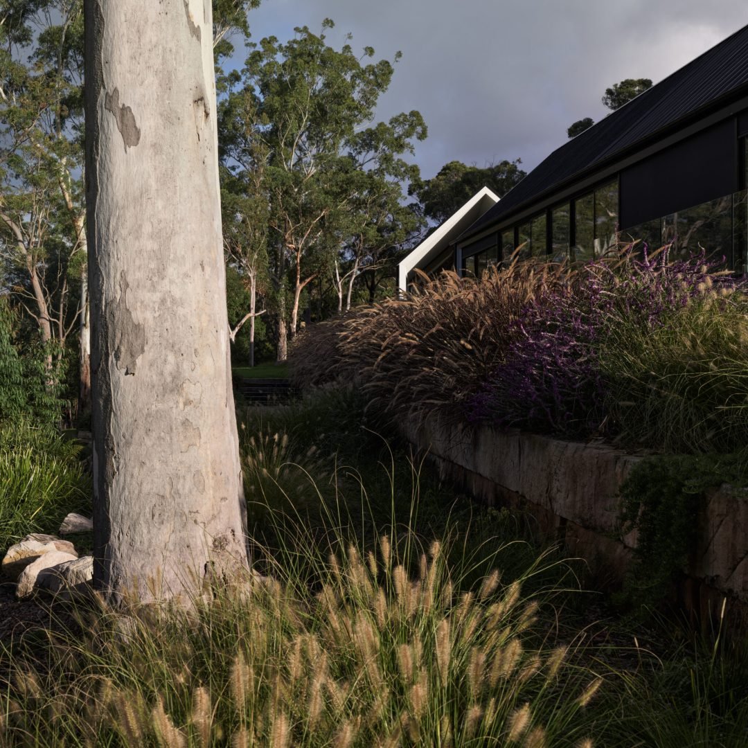 Images © Barton Taylor Photography