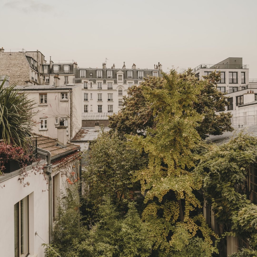 Images © Salva Lopez